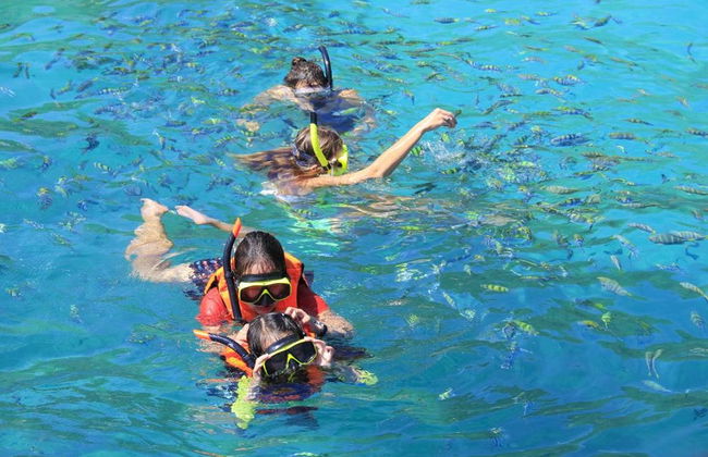 Phi Phi Island Tour - Photo 3